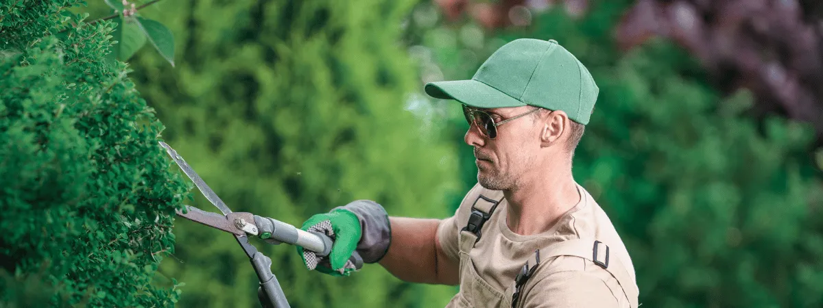 Professional Landscaping & Drainage in Green Lake / Fremont (Seattle, WA 98103) - Certified Contractors & Fair Quotes